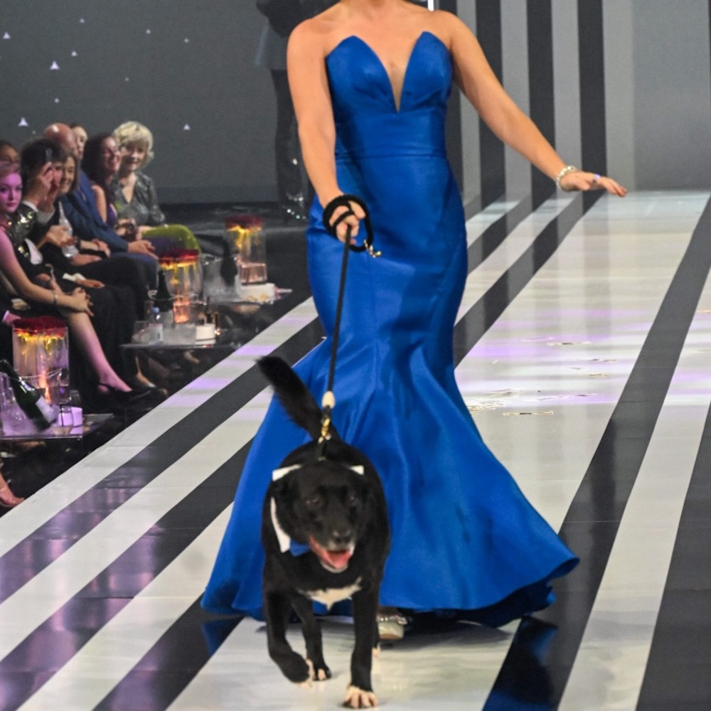 Mori Lee Royal Blue Mermaid Gown with Train